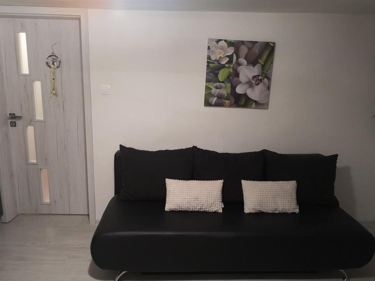 Family Apartments Mýto pod Ďumbierom エクステリア 写真